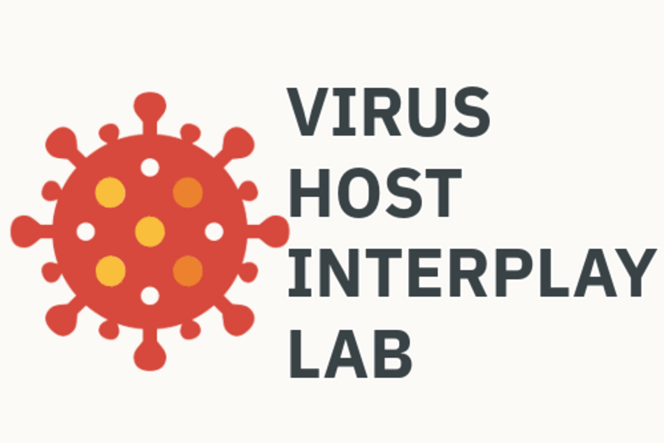 Icon and Text Typography "Virus Host Interplay Lab"