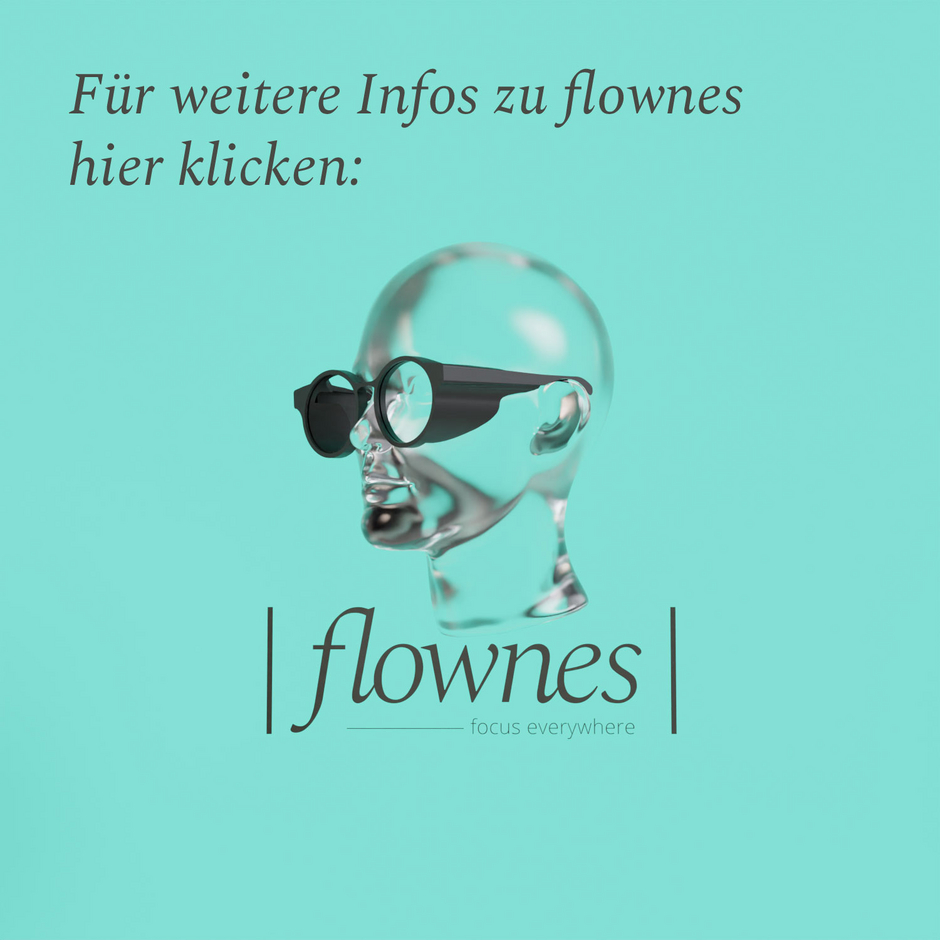 Team 9: Flownes