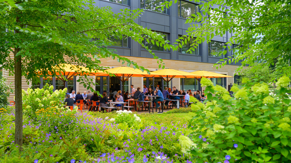 People sit and talk at outdoor tables under bright yellow umbrellas, surrounded by greenery and colorful flowers. The seating area is next to a modern building with large windows, creating a relaxed and vibrant atmosphere.