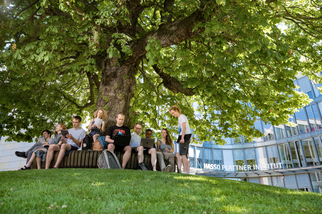Young students are sitting around a tree on campus, studying