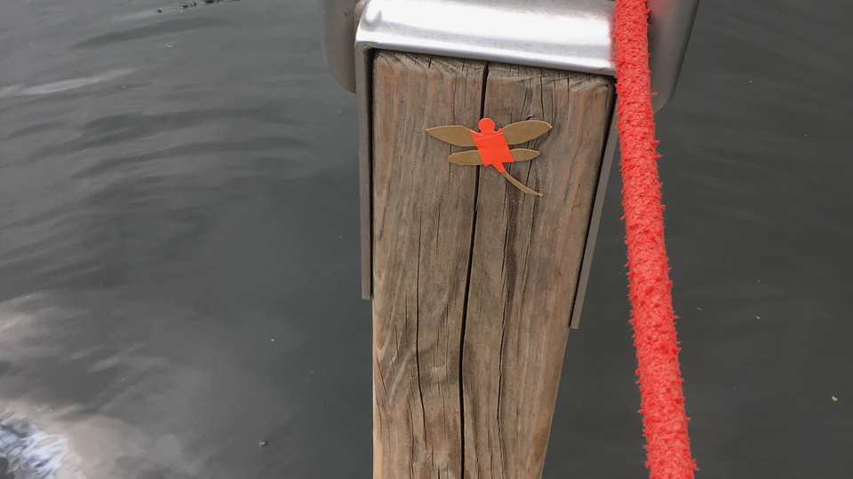 dragonfly on dock station