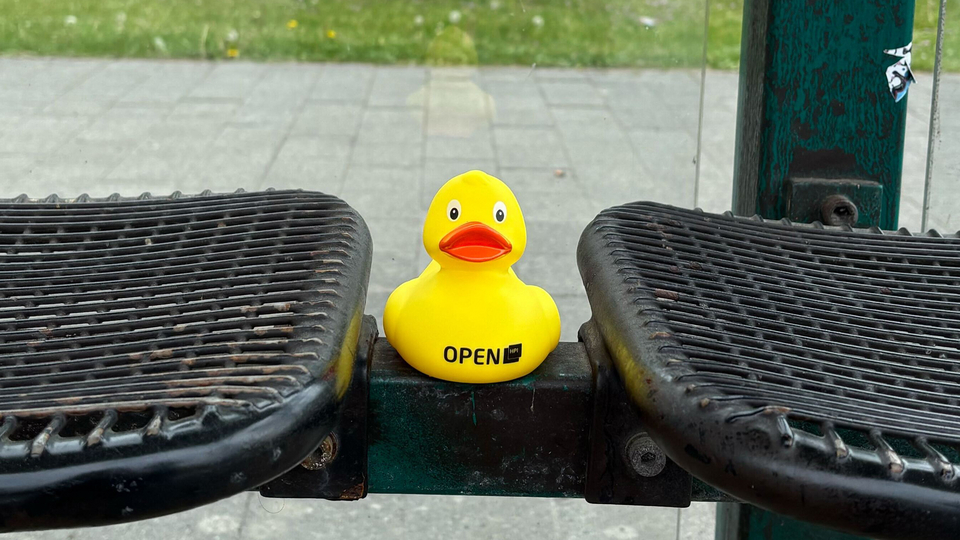 HPI at Potsdamer Tag der Wissenschaften 2026, Ente OpenHPI