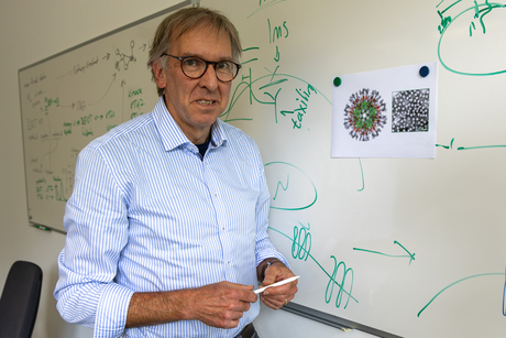 Prof. Eberhard Hildt is standing in front of a whiteboard displaying images of a virus